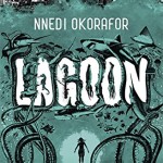 cover lagoon